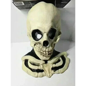 NWT Cryptic Cadavers Skeleton Head Mask Paper Magic Group 2001